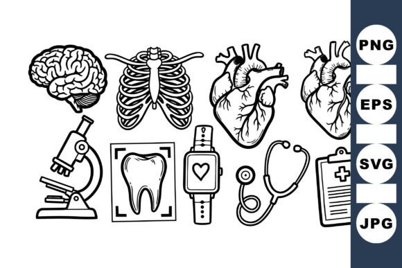 Anatomy Medical Science Clipart Set