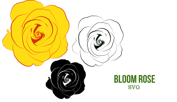 Bloom Rose: A Designer’s Real-World Embroidery Review