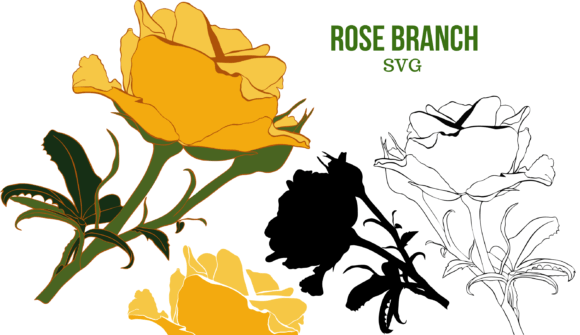 Rose Branch: A Designer’s Real-World Embroidery Review