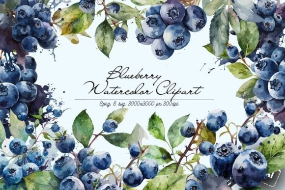 Watercolor Blueberry Clipart